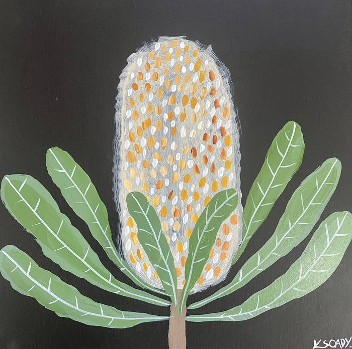 Banksia Evening #3