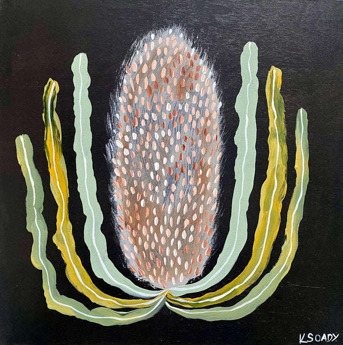 Evening Banksia #11