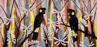Sunset Black Cockatoos