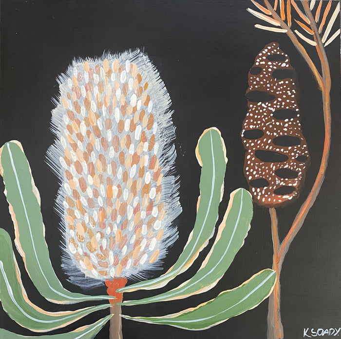Banksia Evening #3