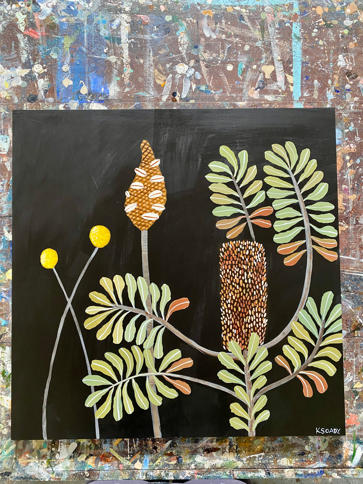 Banksia Harmony: Flower, pod and Billy Buttons