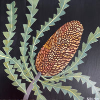 Evening Banksia #18