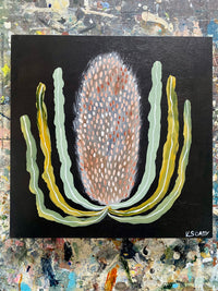 Evening Banksia #11