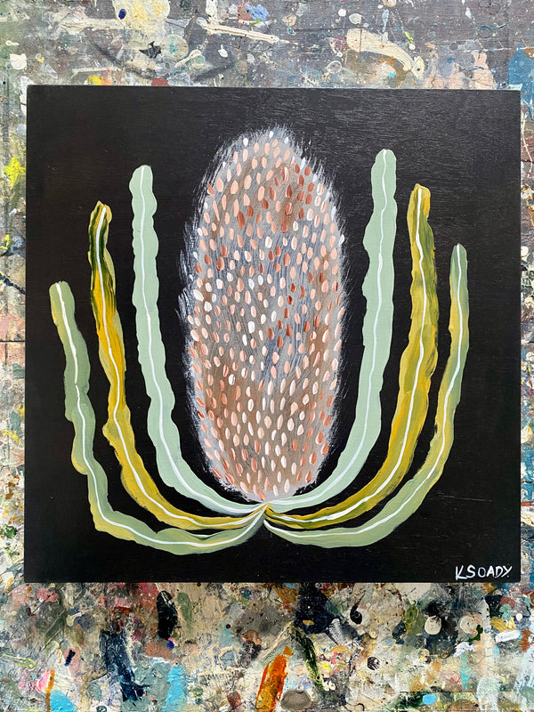 Evening Banksia #11
