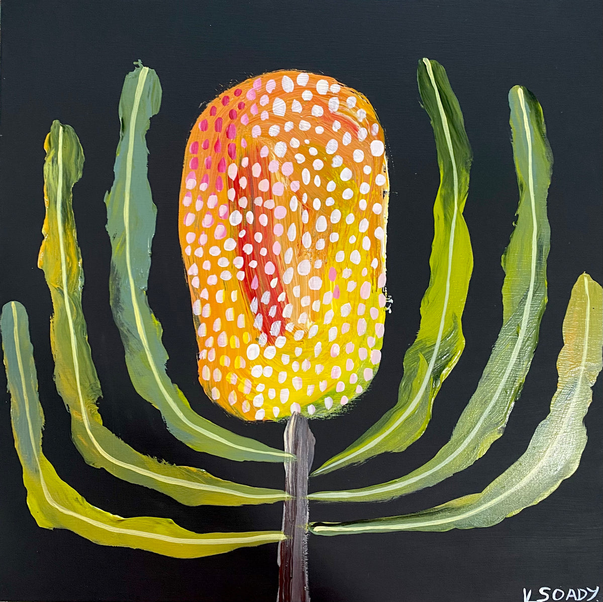 Banksia Glow #2