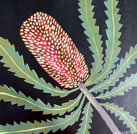 Evening Banksia #17