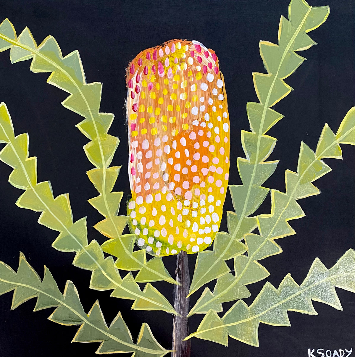 Banksia Glow #3