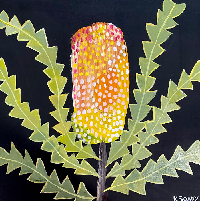 Banksia Glow #3