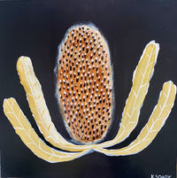 Evening Banksia #13