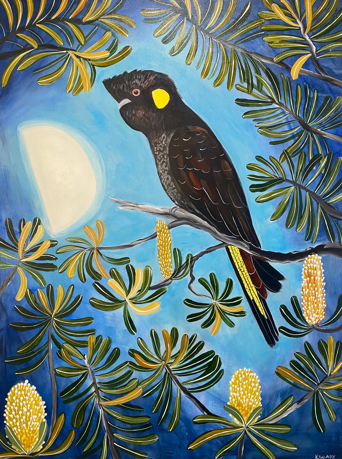 Moonlight Black Cockatoo