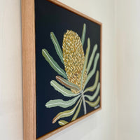 Banksia Nocturne