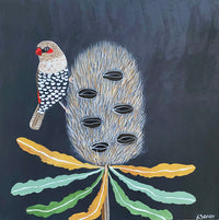 Banksia & Firetail #2