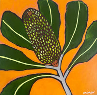 Banksia Pop #2