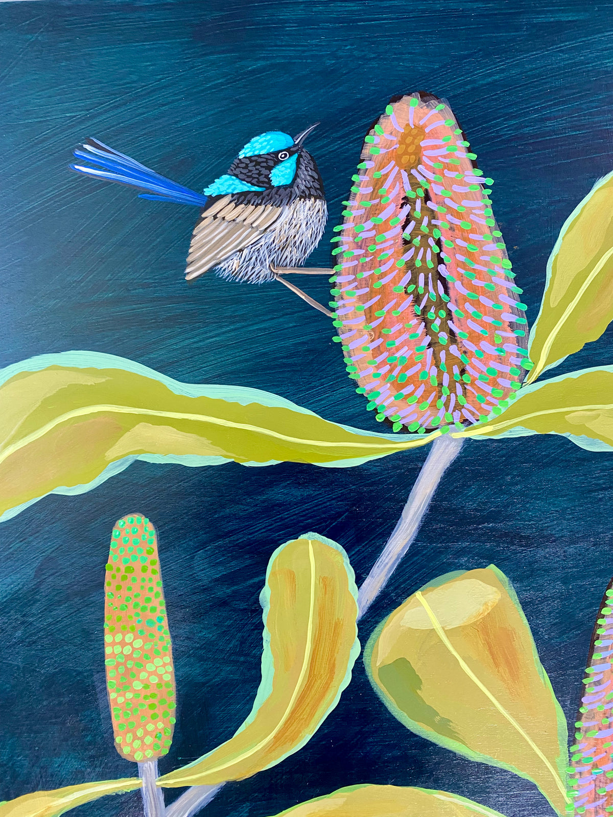 Fairy Wren and Banksia Dance