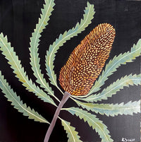 Evening Banksia #19