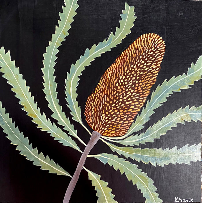 Evening Banksia #19