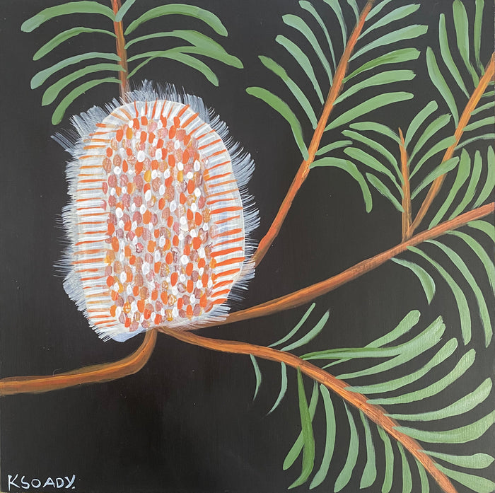 Banksia Evening #2