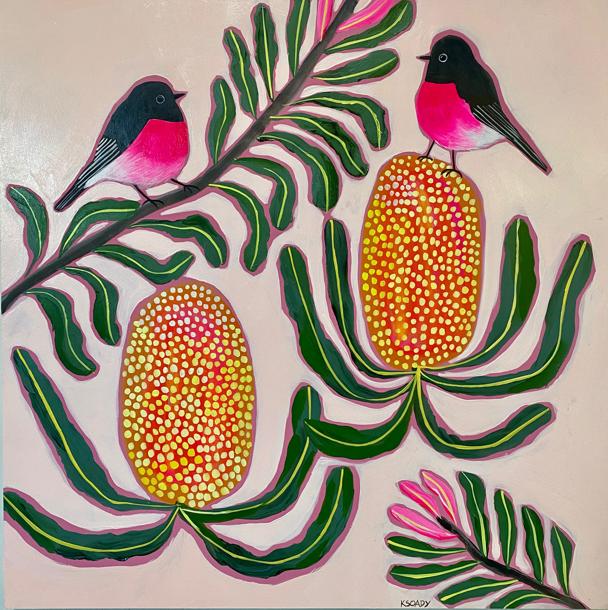 Pink Robins and Banksias