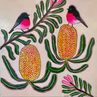 Pink Robins and Banksias