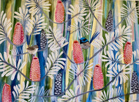 Fairy Wrens in the Blush Banksia