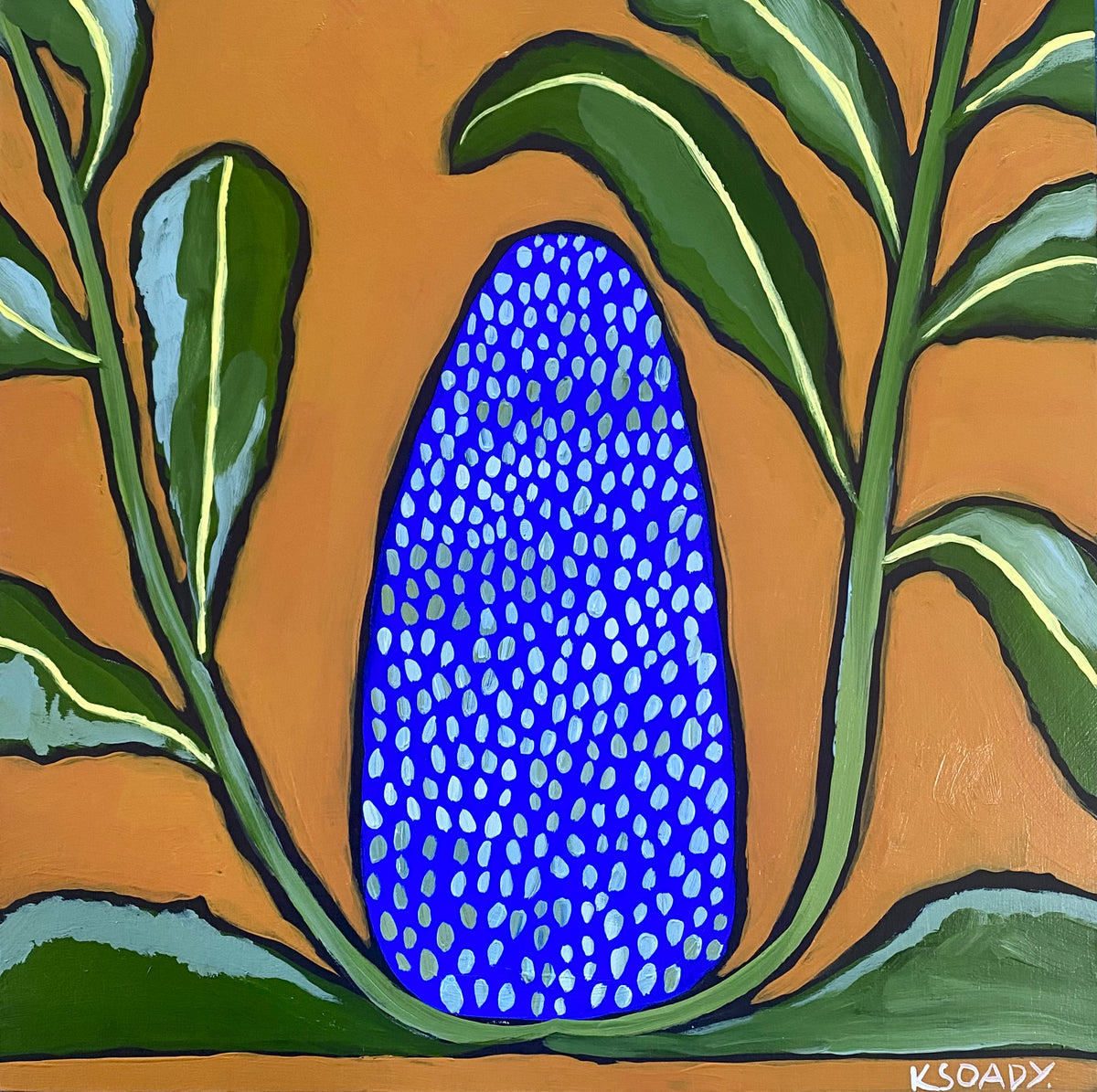 Banksia Pop #3