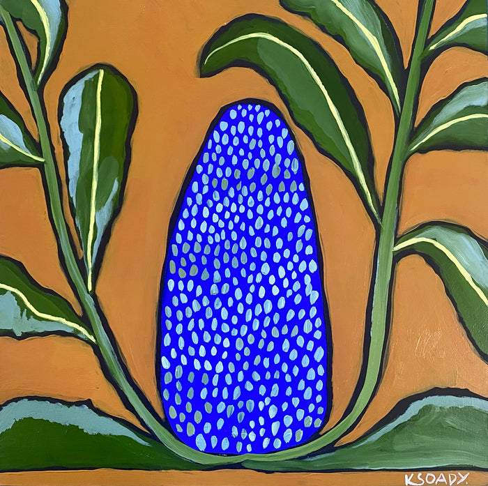 Banksia Pop #3