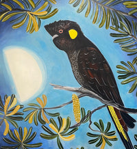 Moonlight Black Cockatoo