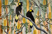 Autumn Black Cockatoos #6