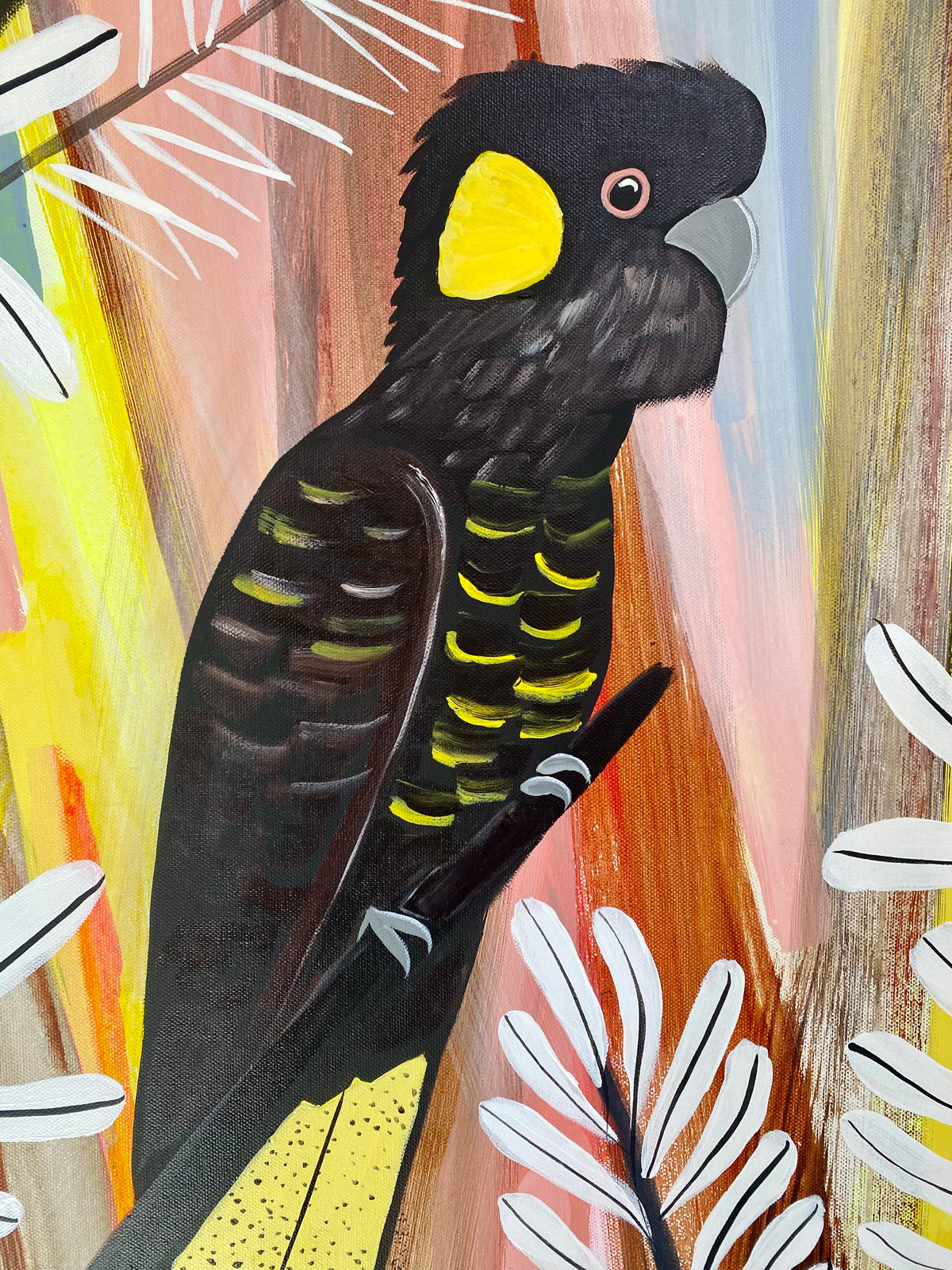 Sunset Black Cockatoos