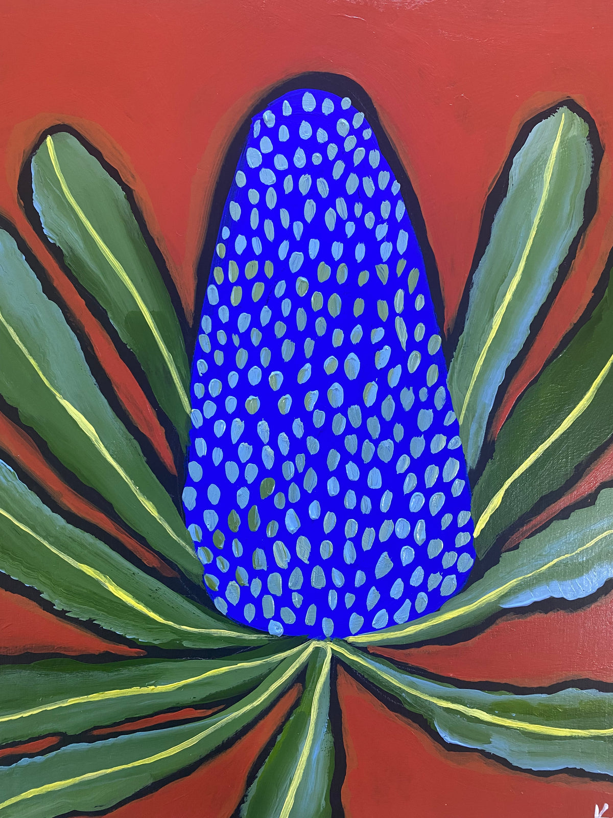 Banksia Pop #4