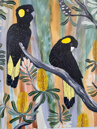 Autumn Black Cockatoos #6