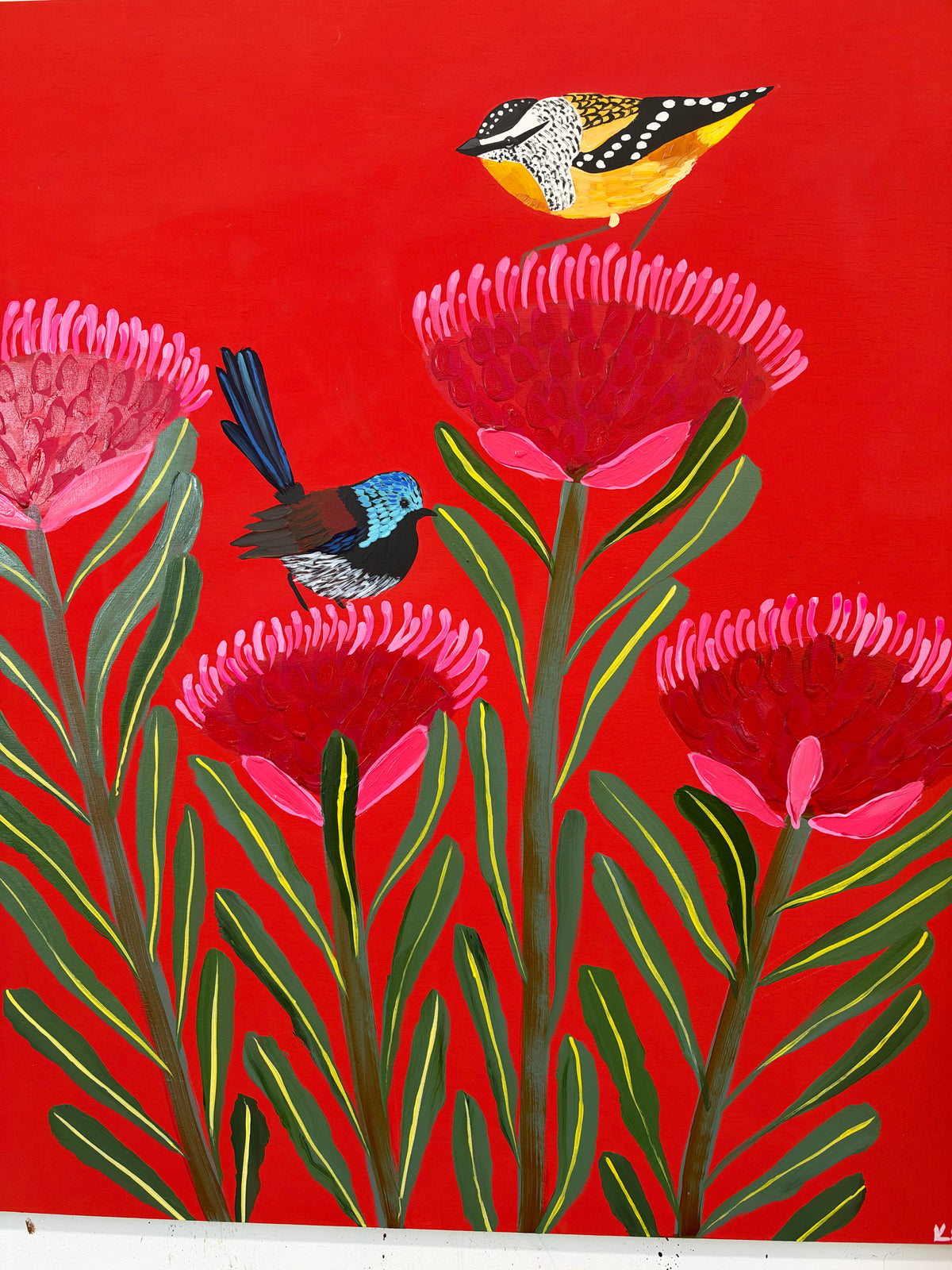 Joyful Natives #10