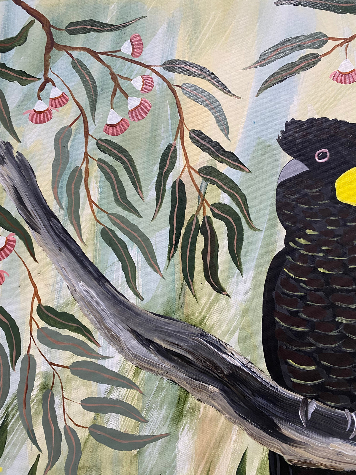 Black Cockatoos in the Natives #1