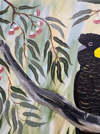 Black Cockatoos in the Natives #1