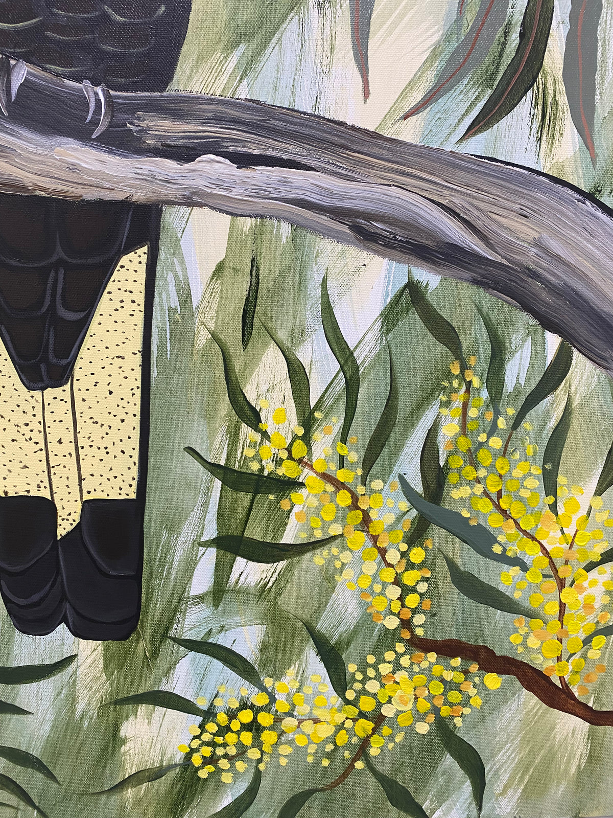 Black Cockatoos in the Natives #1