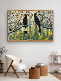 Black Cockatoos in the Natives #2