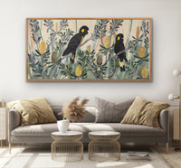 Autumn Black Cockatoos #8