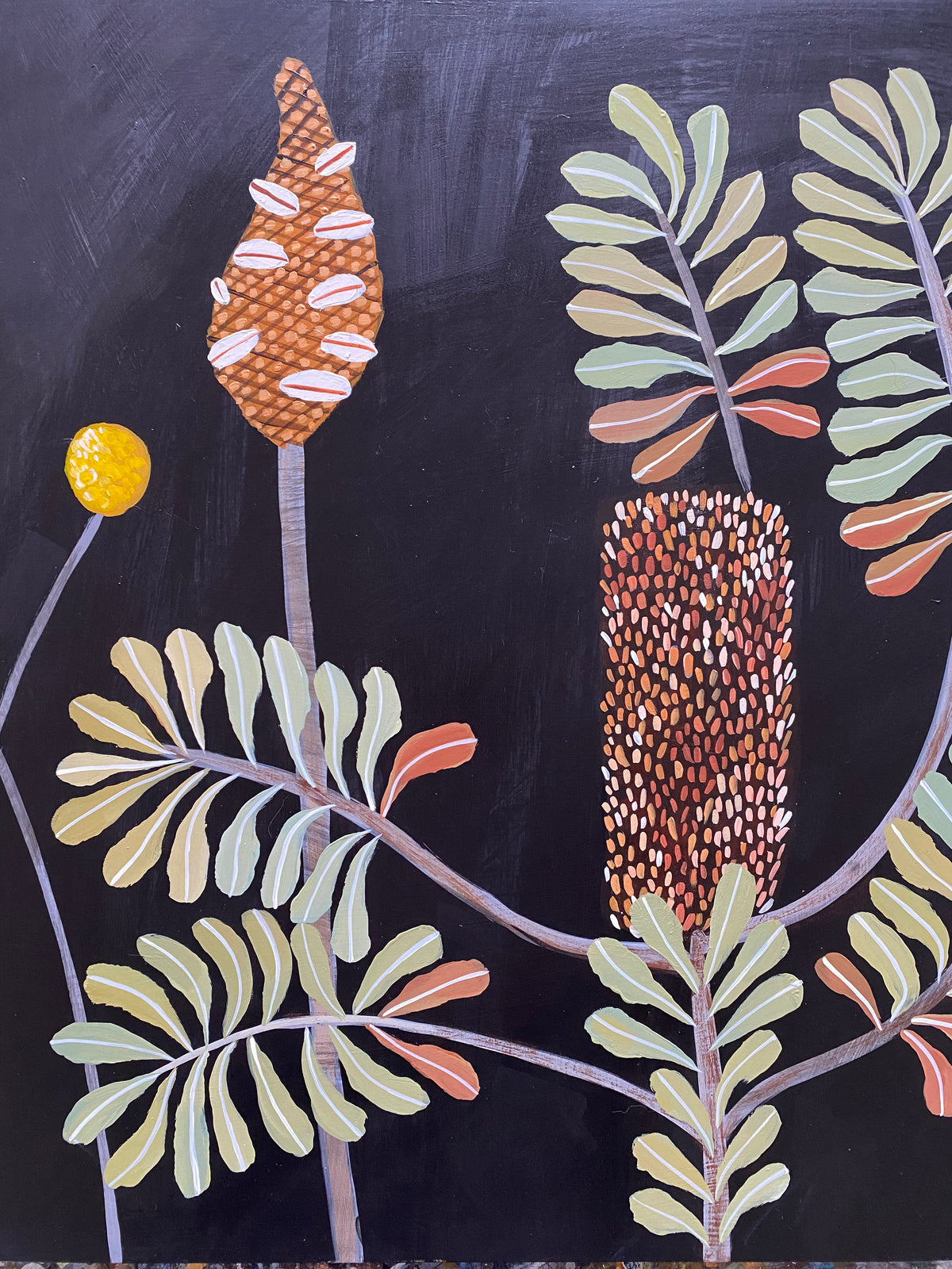 Banksia Harmony: Flower, pod and Billy Buttons