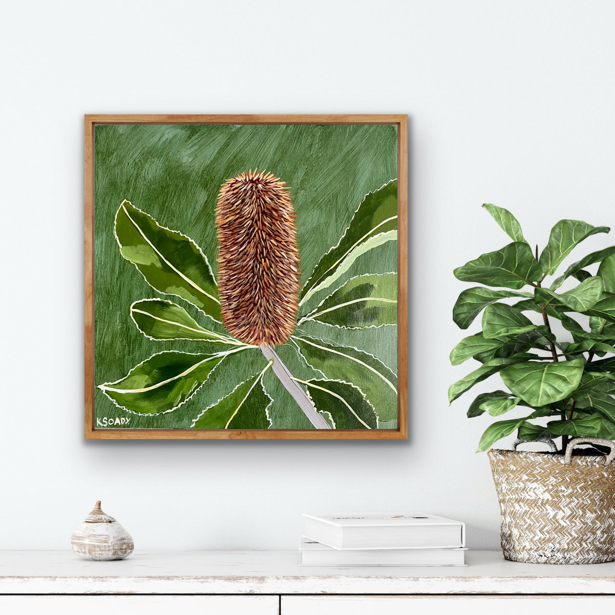 Banksia Robur #2