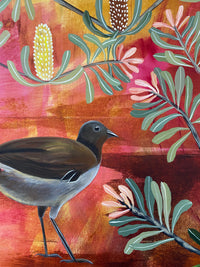 Lyrebird Morning