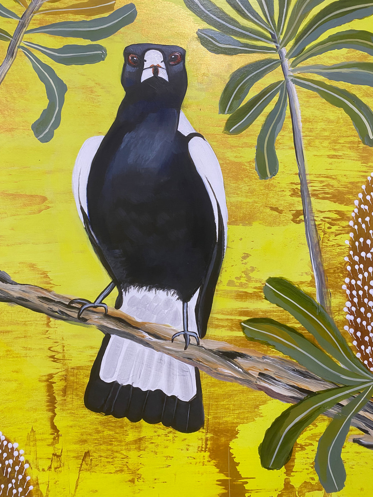 Magpie and Banksia