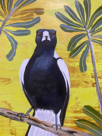 Magpie and Banksia