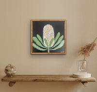 Banksia Evening #3