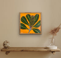 Banksia Pop