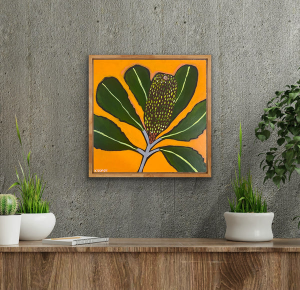 Banksia Pop