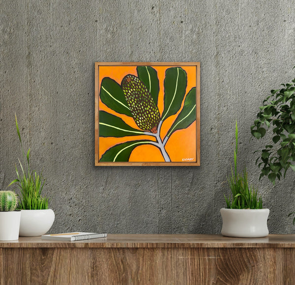 Banksia Pop #2