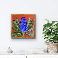 Banksia Pop #4