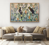 Black Cockatoos in the Banksia #6