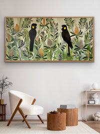 Black Cockatoos in the Banksia #7