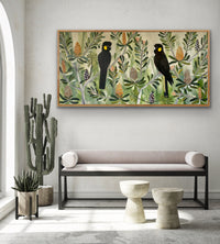 Black Cockatoos in the Banksia #7